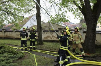 Bild 12 von 15