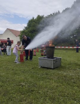 Bild 10 von 12