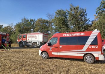 Bild 5 von 7