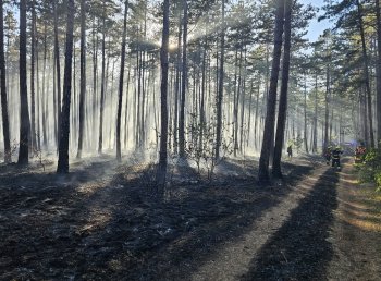 Bild 3 von 5